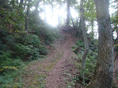 DSC09700.jpg