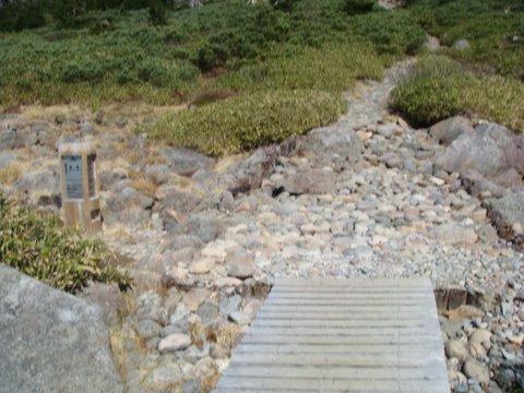 DSC09765.jpg