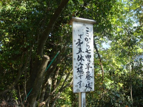 DSC09918.jpg