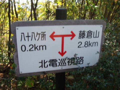DSC09940.jpg