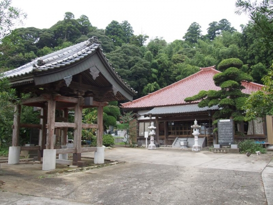 P9080023s.jpg