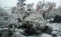 H250421突然の大雪