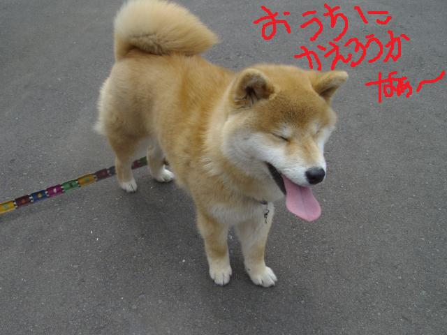 無題脱走太郎