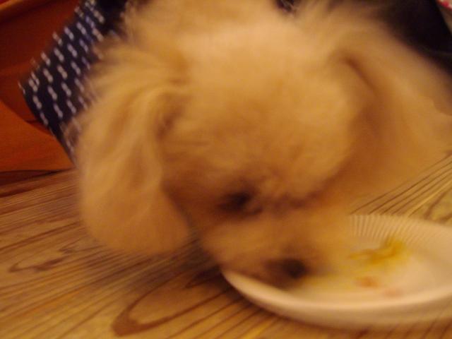 ひなちゃん