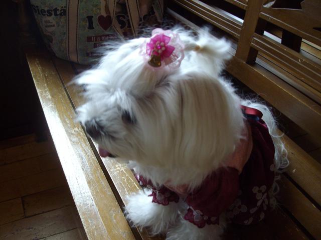 繝悶Ο繧ー逕ィ+004_convert_20130502002523