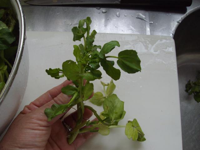 繝悶Ο繧ー逕ィ+142_convert_20130518010120