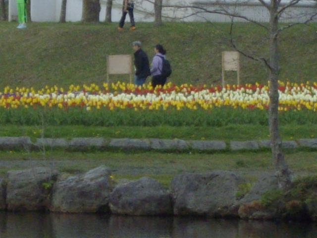 繝悶Ο繧ー逕ィ+019_convert_20130529235921はな