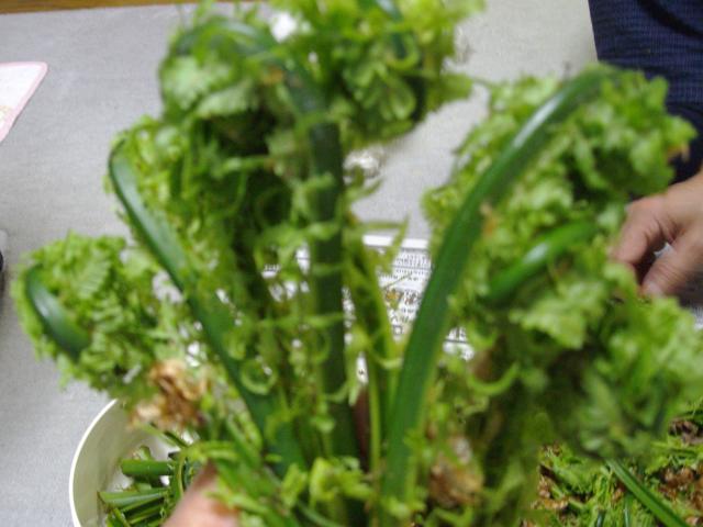 こごみ繝悶Ο繧ー逕ィ+004_convert_20130601135953