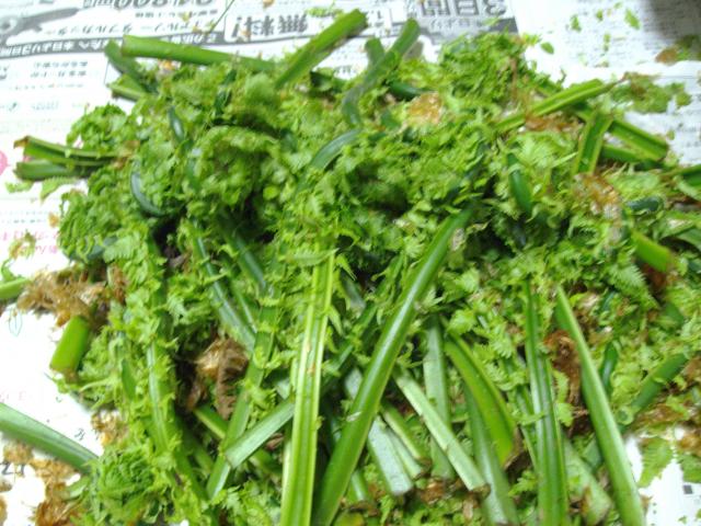 繝悶Ο繧ー逕ィ+001_convert_20130601135740こごみ