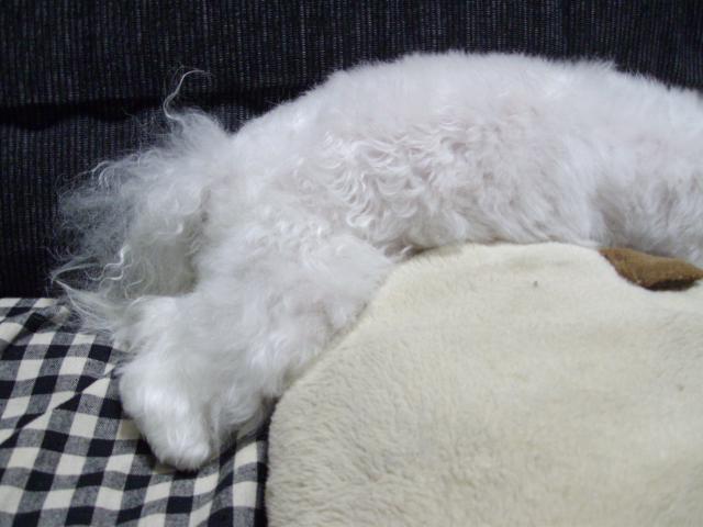 繝悶Ο繧ー逕ィ+031_こゆconvert_20130607230006