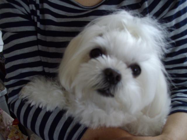 繝悶Ο繧ー逕ィ+032_こゆconvert_20130607230124