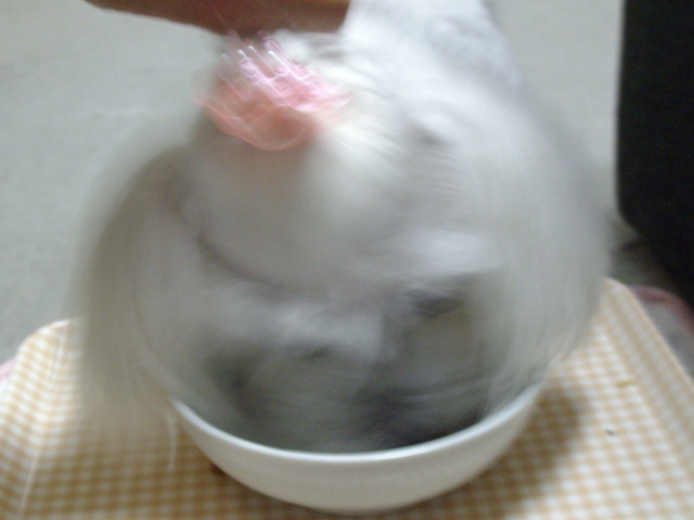 ブログ用 080