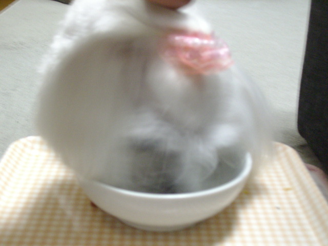 ブログ用 079