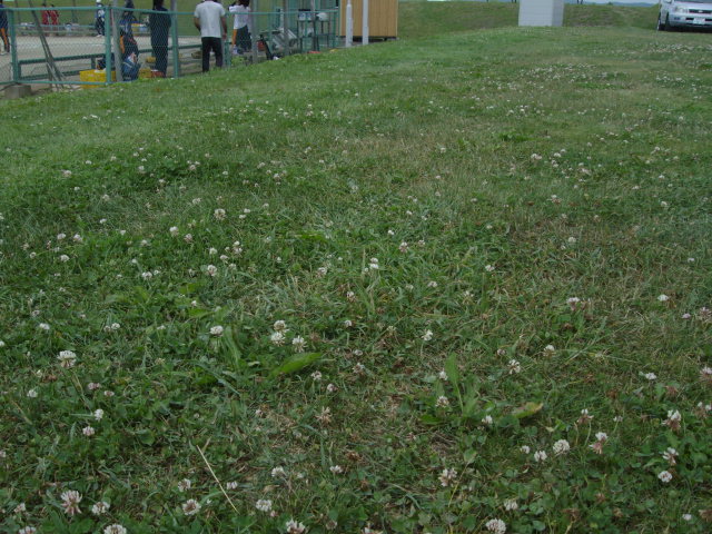 2013年 koyuki 7歳 009
