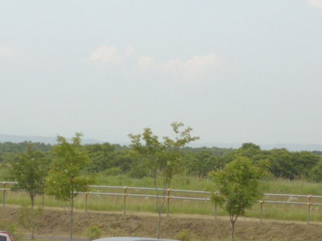 2013年 koyuki 7歳 023