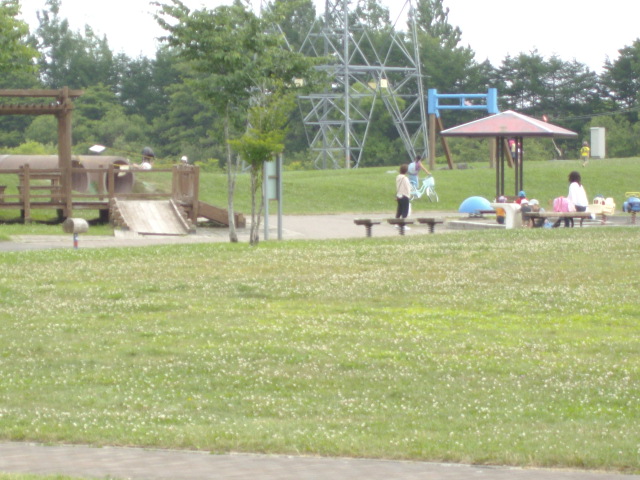 2013年 koyuki 7歳 022