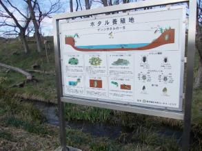 ホタルの生息地。