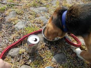 飲酒じゃないよ。