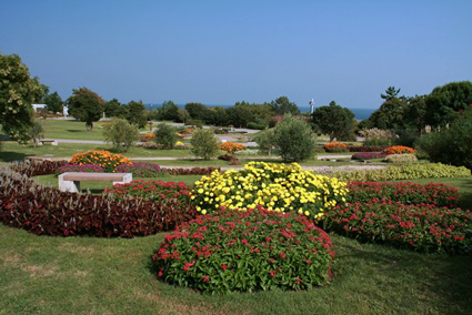 awaji5.jpg