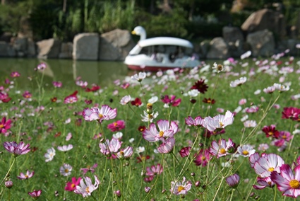 awaji7.jpg