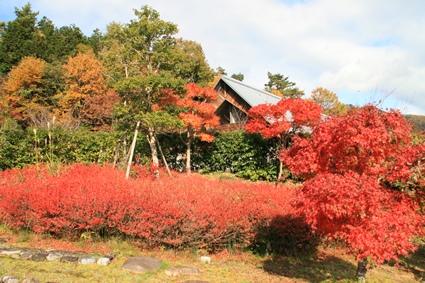 k6887.jpg