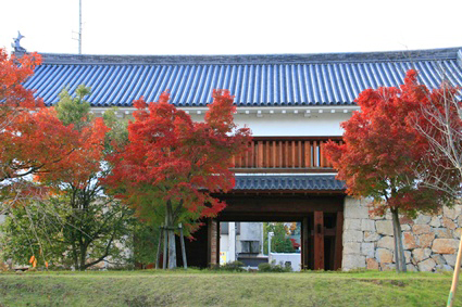 k6934.jpg