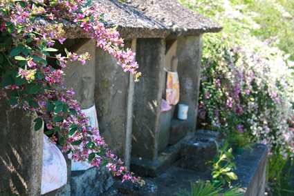 s1419.jpg