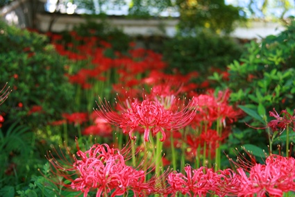 s1449.jpg