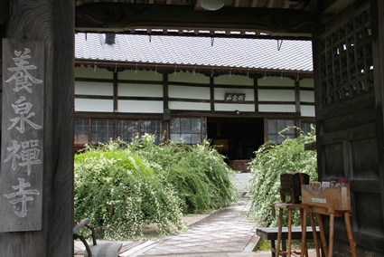 y1345.jpg