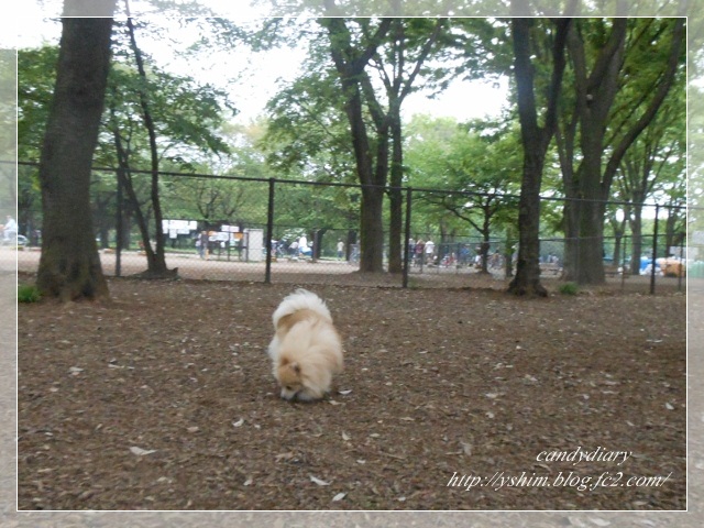 DSCN4891 (640x480)-013