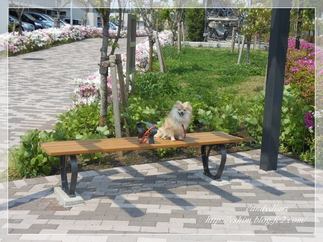 DSCN5193 (640x480)-007