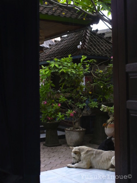 R0029302.jpg
