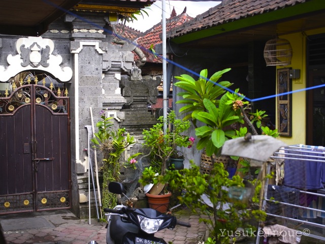 R0029303.jpg