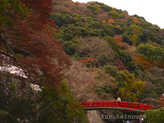 R0029402.jpg