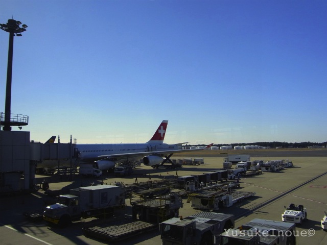 R0029461.jpg