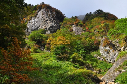 6石鎚紅葉14.09.27