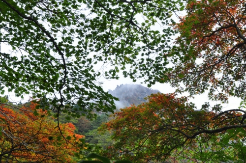 10石鎚紅葉14.09.27