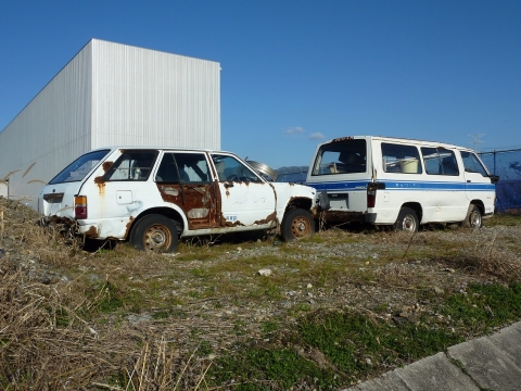 P1110937.jpg