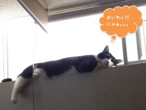 名称未設定 1 のコピー