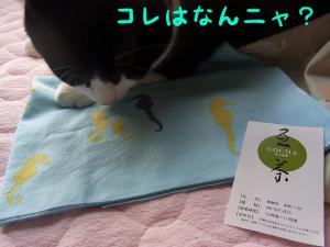 手ぬぐい (4)