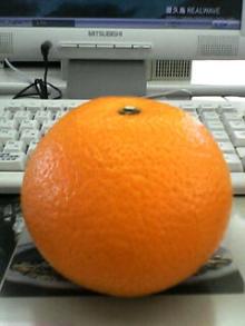 はっさく