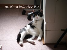 さすらいの事務員 ~独り言~