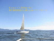 さすらいの事務員 ~独り言~