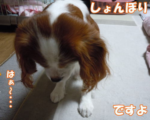 2012022807.jpg