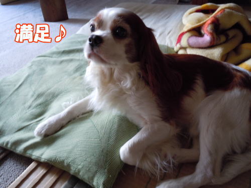 2012042401.jpg