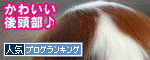 br_decobanner_20120223235455.gif