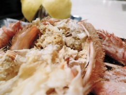 DSCN3453.jpg