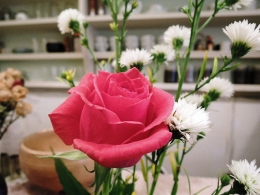 DSCN3502.jpg