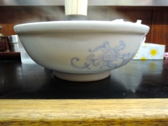 DSCN7353.jpg
