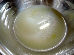 DSCN7459.jpg